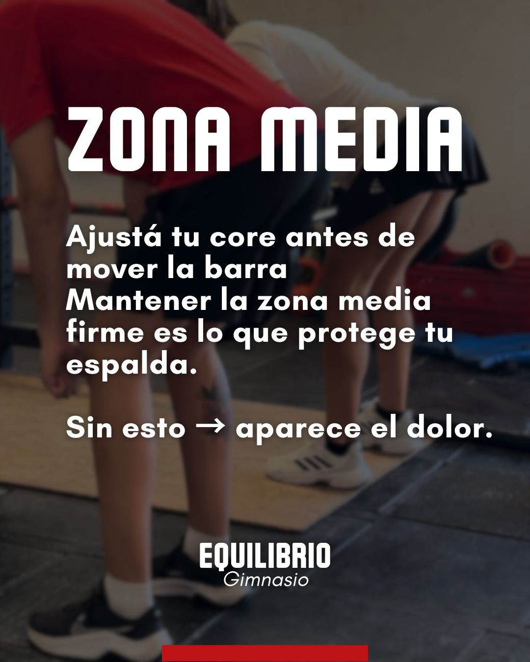 Importancia de la zona media