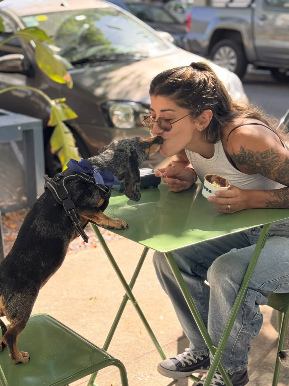 Modry — Clienta saludando a su perro en la vereda del local con un helado