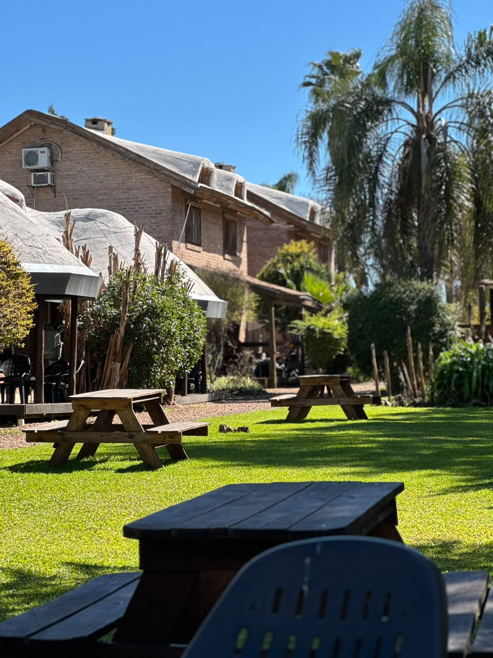 Cabañas — Predio con mesas de picnic, palmeras y cielo despejado